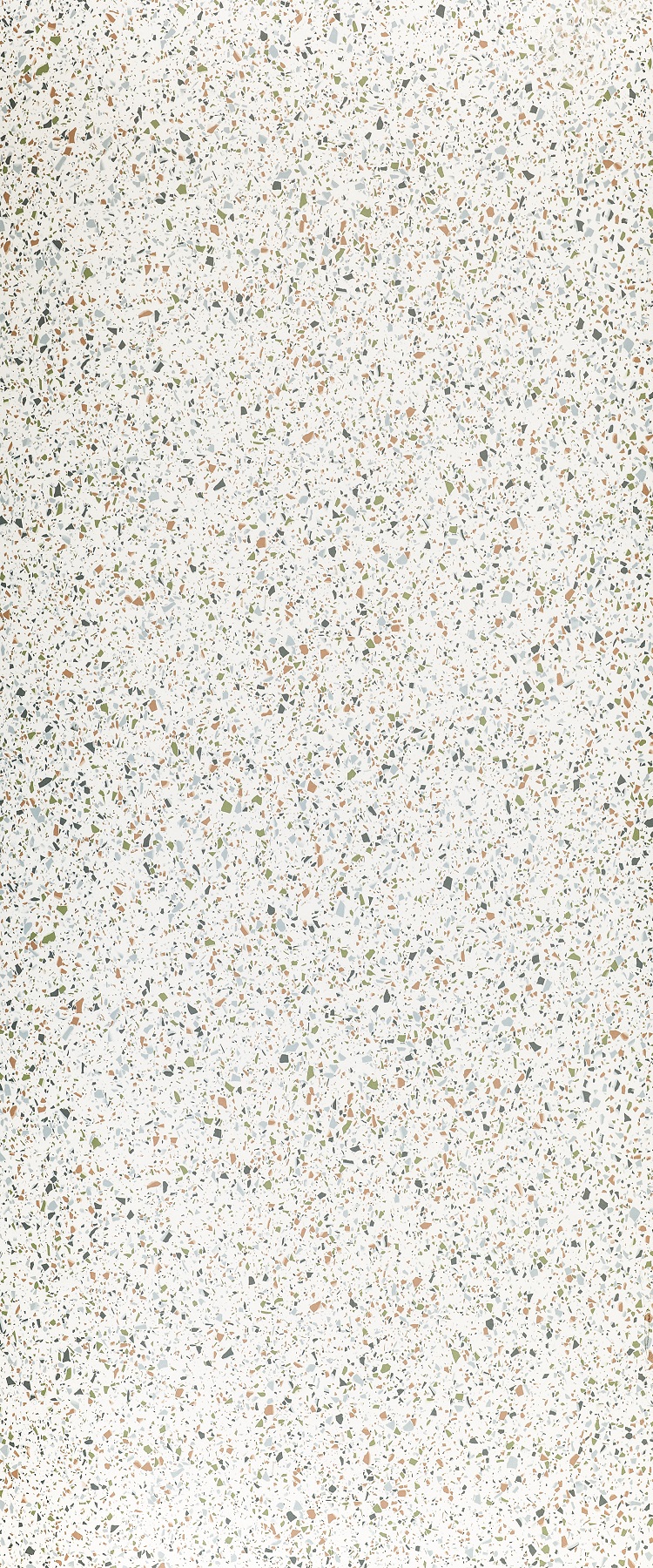 Formica Cora